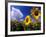 Sunflowers, Colorado, USA-Terry Eggers-Framed Photographic Print