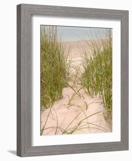 Smyrna Dunes Park, New Smyrna Beach, Florida-Lisa S^ Engelbrecht-Framed Photographic Print