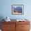 Bison above Great Salt Lake, Antelope Island State Park, Utah, USA-Scott T. Smith-Framed Photographic Print displayed on a wall