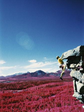 Premium Photographic Print, , small