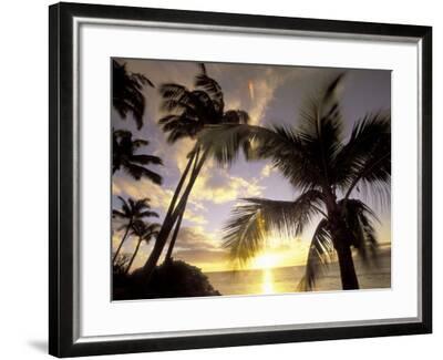 Sunset and Palm Tree, Kihei Beach, Maui, Hawaii, USA Photographic Print ...