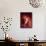 Singer and Actress Dorothy Dandridge Posing by a Piano-Ed Clark-Mounted Premium Photographic Print displayed on a wall