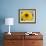 Sunflower, Seattle, Washington, USA-Terry Eggers-Framed Photographic Print displayed on a wall