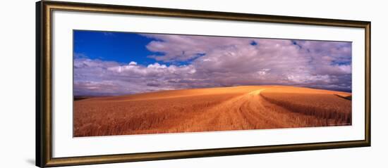 Cut Road Through Wheat Field, Colfax, Washington, USA-Terry Eggers-Framed Photographic Print