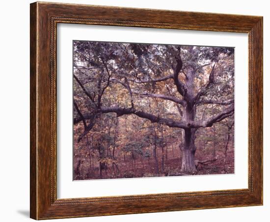 Gardiners Island-Alfred Eisenstaedt-Framed Photographic Print