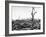 Hiroshima in Ruins Following the Atomic Bomb, Dropped at End of WWII-Bernard Hoffman-Framed Photographic Print