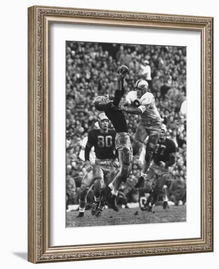 Violent Action: Don Helleder Trying to Retrieve Ball from Navy Defense During Army-Navy Game-John Dominis-Framed Photographic Print