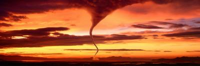 Premium Photographic Print, , small
