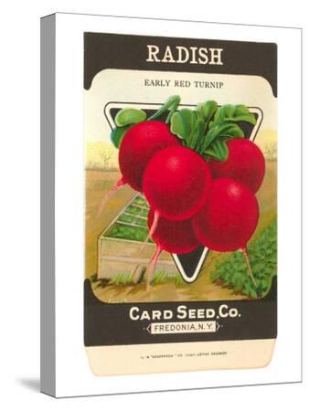 Radish Seed Packet Art Print by | Art.com