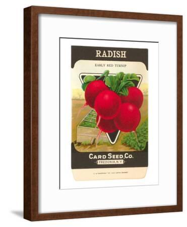 Radish Seed Packet Art Print by | Art.com