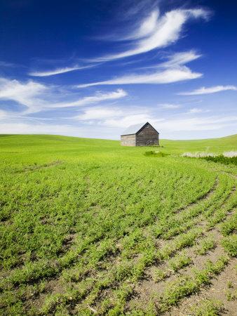 Premium Photographic Print, , small