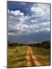 Primitive dirt road across the northern Serengeti, Serengeti National Park, Tanzania-Adam Jones-Mounted Photographic Print
