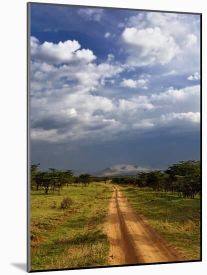 Primitive dirt road across the northern Serengeti, Serengeti National Park, Tanzania-Adam Jones-Mounted Photographic Print