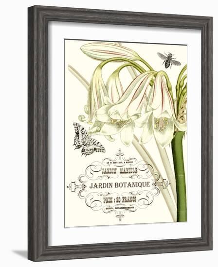 Jardin Botanique I-Vision Studio-Framed Art Print