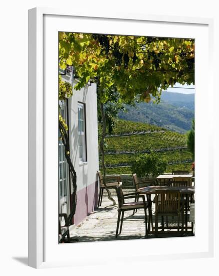 Quinta Nova De Nossa Senhora Do Carmo Estate in Northern Portugal in the Renowned Douro Valley-Camilla Watson-Framed Photographic Print