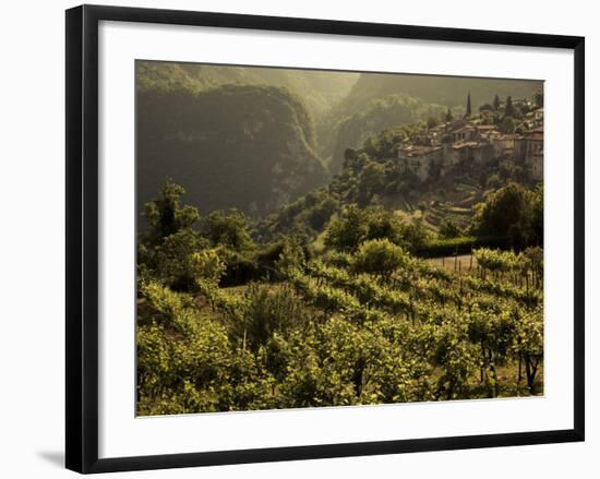 Lombardy, Lake District, Lake Garda, Tremosine Plateau, Sermerio, Vineyards, Italy-Walter Bibikow-Framed Photographic Print