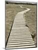 Boardwalk across a Tidal Marsh Leading to a Wooden Area at a Wildlife Sanctuary-John Nordell-Mounted Photographic Print