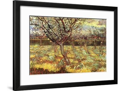 Apricot Trees In Blossom Art Print by Vincent van Gogh | Art.com