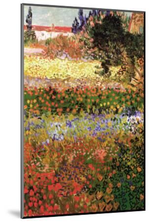 Flowering Garden with Path Art Print by Vincent van Gogh | Art.com