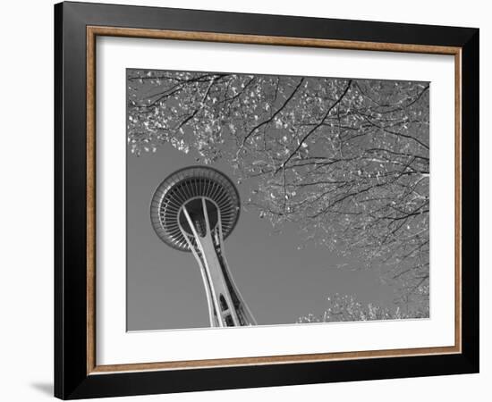 Space Needle, Seattle, Washington, USA-Savanah Stewart-Framed Photographic Print