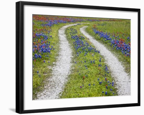 Tracks Leading Through a Wildflower Field, Texas, USA-Julie Eggers-Framed Photographic Print