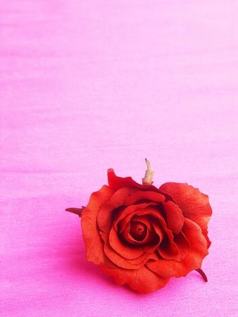 Premium Photographic Print, , small