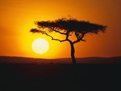 Premium Photographic Print, , small