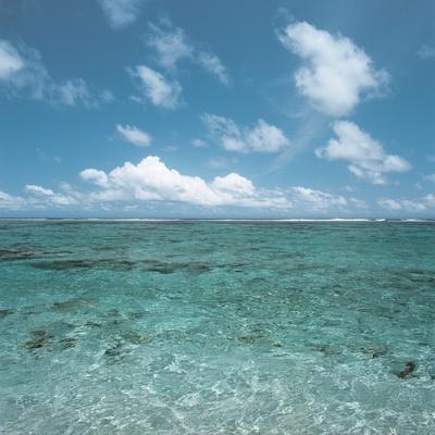 Premium Photographic Print, , small