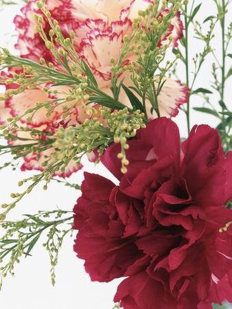 Premium Photographic Print, , small