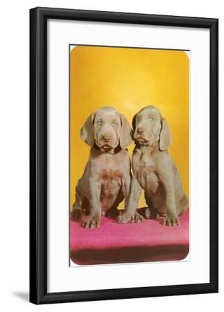 Weimaraner Puppies Art Print By Art Com