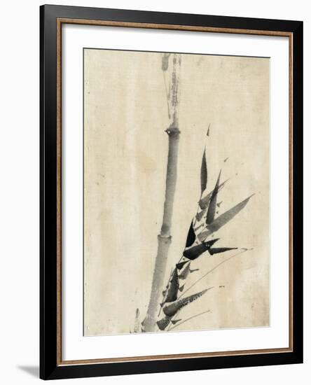 Japan: Bamboo, C1830-1850-Katsushika Hokusai-Framed Giclee Print