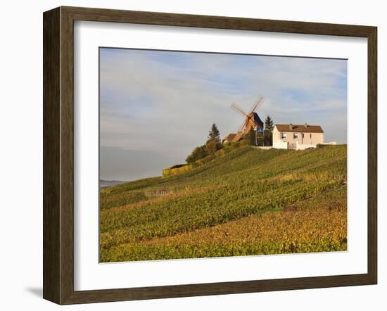 Windmill and Vineyards, Verzenay, Champagne Ardenne, Marne, France-Walter Bibikow-Framed Photographic Print