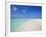 Beach and Sea, Maldives, Indian Ocean, Asia-Sakis Papadopoulos-Framed Photographic Print