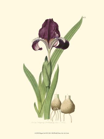 Premium Giclee Print, , small