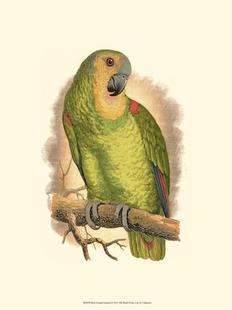 Premium Giclee Print, , small
