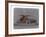 Mercedes Benz 300-NaxArt-Framed Art Print