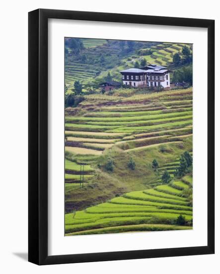 Village House and Rice Terraces in Metshina Village, Bhutan-Keren Su-Framed Photographic Print