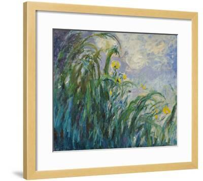 The Yellow Iris Giclee Print by Claude Monet | Art.com