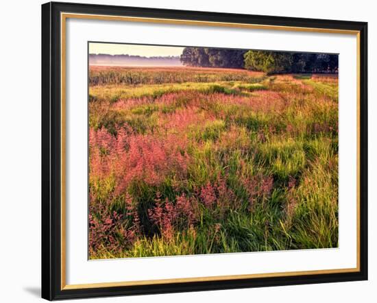 King of Prussia, Philadelphia, Pennsylvania, USA-Jay O'brien-Framed Photographic Print