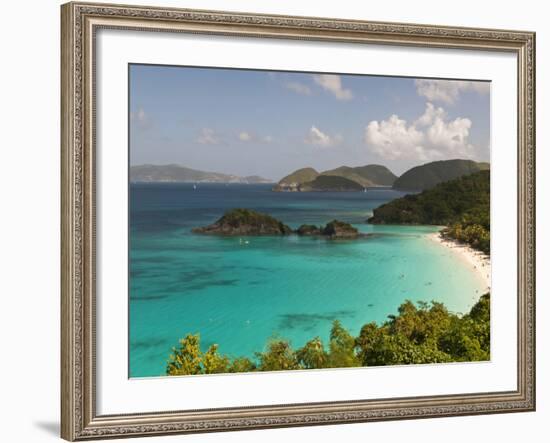 Underwater Snorkeling Trail, St John, United States Virgin Islands, USA, US Virgin Islands-Trish Drury-Framed Photographic Print