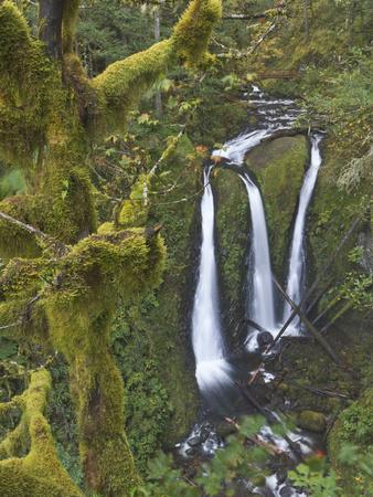Premium Photographic Print, , small