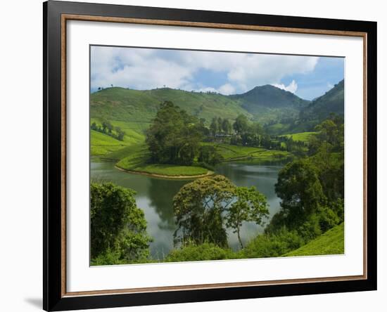 View over Tea Estate, Tamil Nadu, India, Asia-Stuart Black-Framed Photographic Print