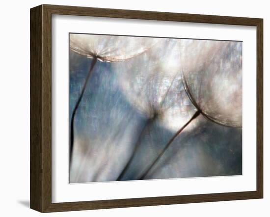 Carefree-Ursula Abresch-Framed Photographic Print