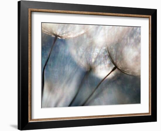 Carefree-Ursula Abresch-Framed Photographic Print