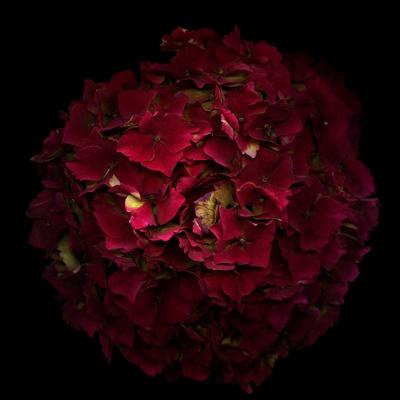 Photographic Print, , small