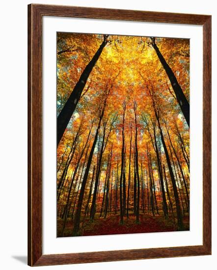 Cathedral Fall-Philippe Sainte-Laudy-Framed Photographic Print