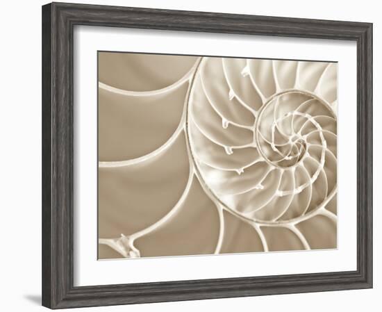 White Swirls-Doug Chinnery-Framed Photographic Print