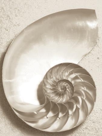 Photographic Print, , small