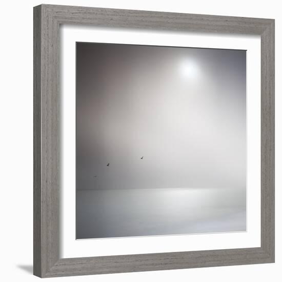 Three Birds Xi-Doug Chinnery-Framed Photographic Print