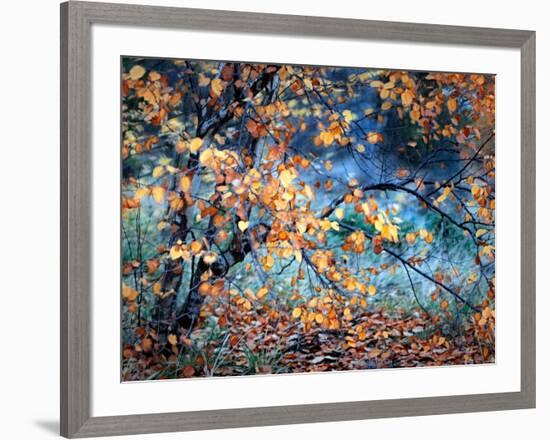 Yellow Heart-Ursula Abresch-Framed Photographic Print